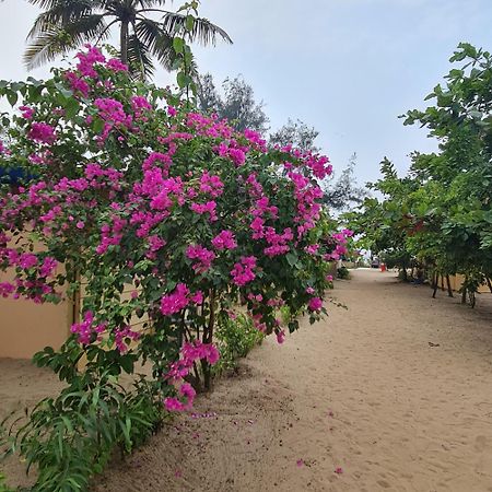 Love Temple Beach Resort Arambol Exteriér fotografie