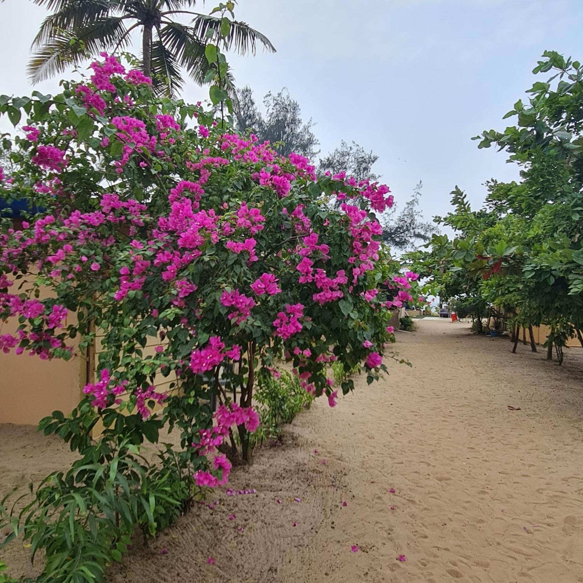 Love Temple Beach Resort Arambol Exteriér fotografie